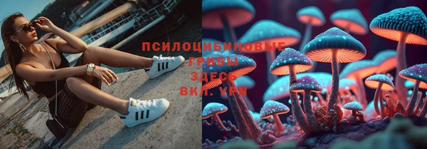 PSILOCYBIN Зеленокумск